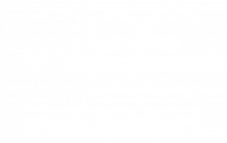 Logo von VOSS+PARTNER Management-Beratung und Trainings-Manufaktur in Hamburg - Klicken Sie, um zur Kunden-Website zu gelangen.